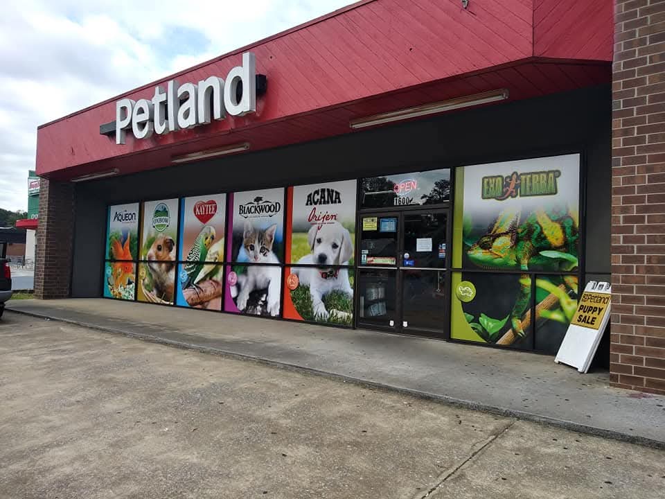 Petland storefront windows covered with printed pet brand graphics